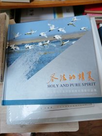 圣洁的精灵 周宝成乌海黄河湿地候鸟摄影作品集