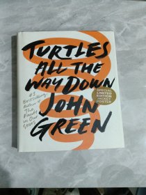 龟背上的世界（John Green新作）英文原版 Turtles All The Way Down 约翰·格林 小说 寻找无限的尽头