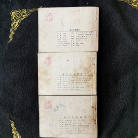 新儿女英雄传<上中下>
