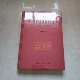 当代中国政治 基础与发展/中国发展道路丛书·政治卷(未拆封)