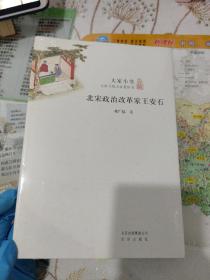 大家小书 北宋政治改革家王安石