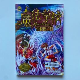 魔法学校8-雪狼魔之谜（经典版）