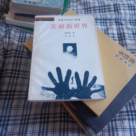 美丽新世界