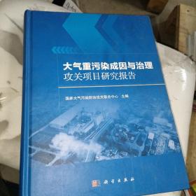 大气重污染成因与治理攻关项目研究报告