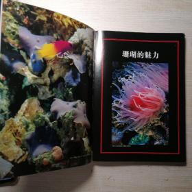 珊瑚图鉴：不可思议的珊瑚鉴赏图典