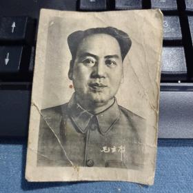 稀见五十年代毛主席照片