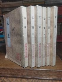 中国古典文学丛书: 文选1-6全六册