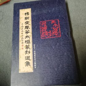 杨新安风筝太极篆刻选集