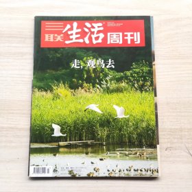 三联生活周刊 2019年47期 总第1064期 封面文章：走，观鸟去