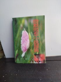 幽默微型小说经典