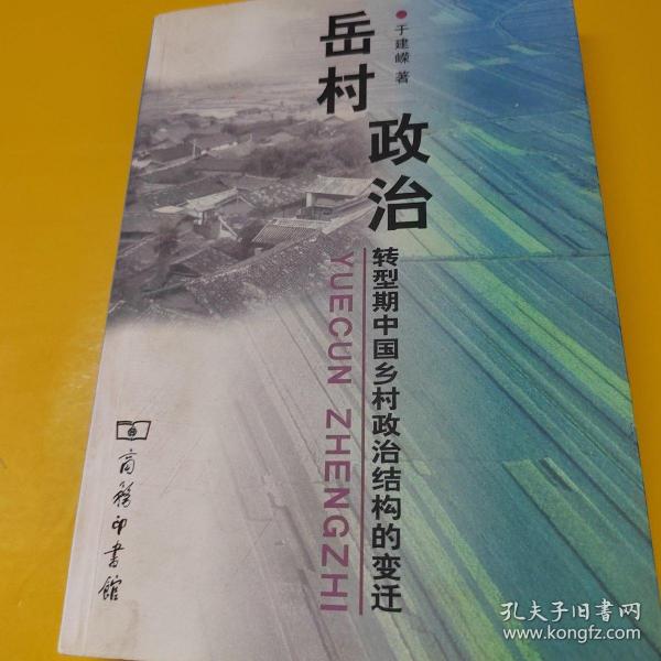 岳村政治：转型期中国乡村政治结构的变迁