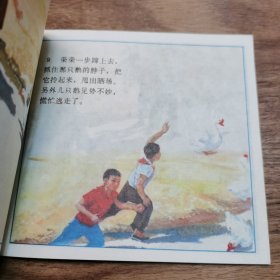 48开本精品连环画：《种子金灿灿》