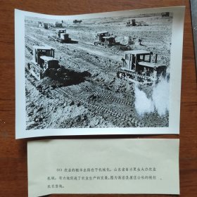 1978年，山东高密县康庄公社，拖拉机在整地