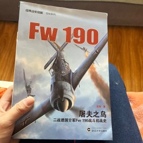 屠夫之鸟：二战德国空军Fw 190 战斗机战史