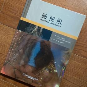 肠梗阻 （日）三毛牧夫