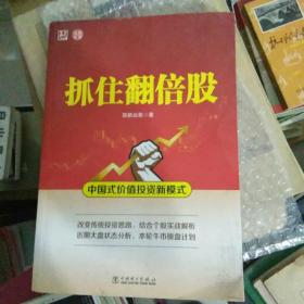 抓住翻倍股：中国式价值投资新模式