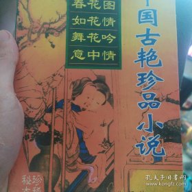 中国古珍品小说