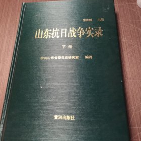 山东抗日战争实录下册