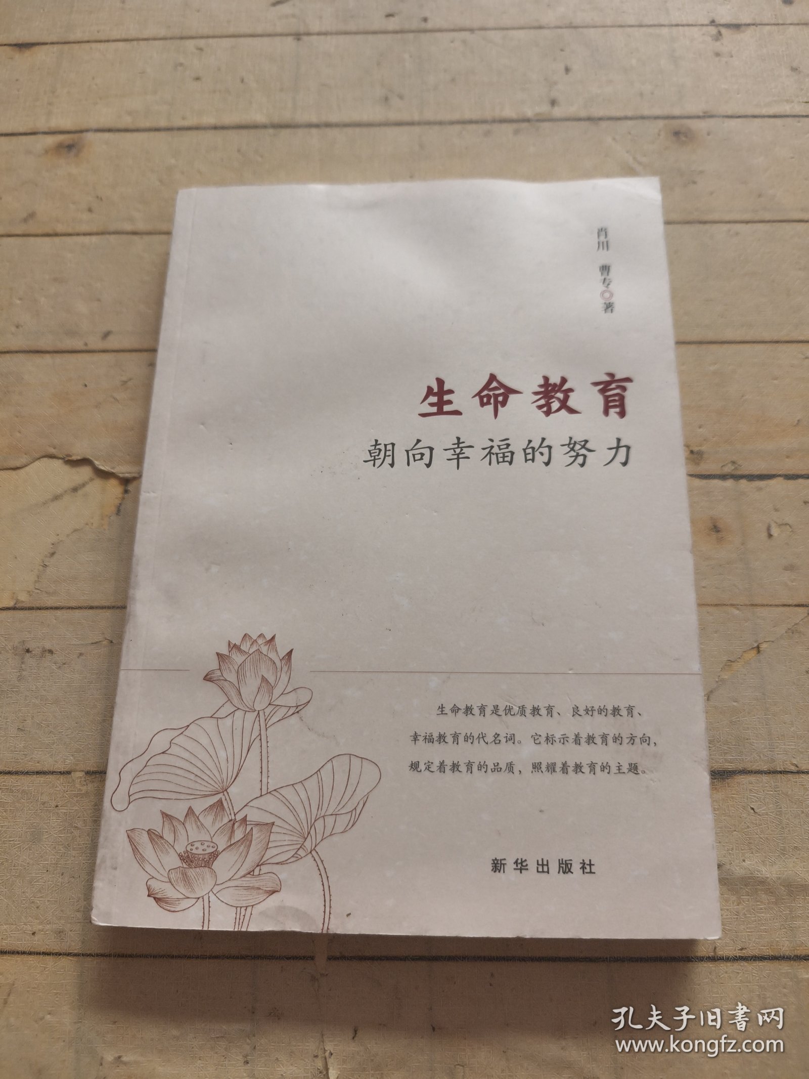 生命教育：朝向幸福的努力