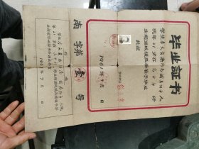 60年代毕业证