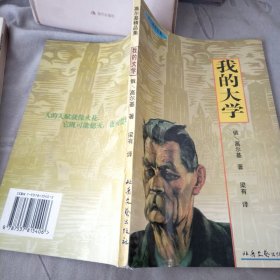 我的大学-高尔基精品集