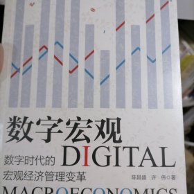 数字宏观：数字时代的宏观经济管理变革