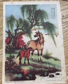 民国画片16开，生肖马、羊、虎、狗。4幅合售。