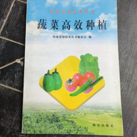 蔬菜高效种植 农业实用技术丛书