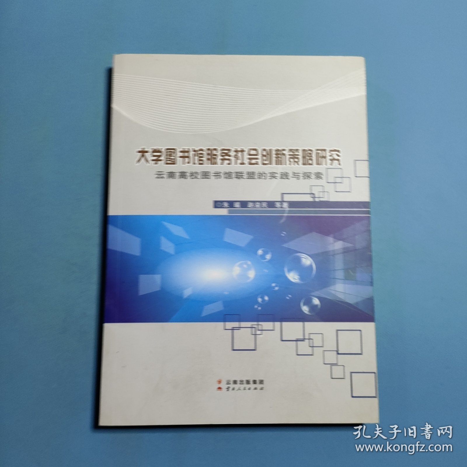 大学图书馆服务社会创新策略研究