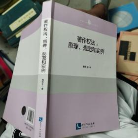 著作权法：原理、规范和实例