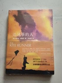 追风筝的人（未开封）