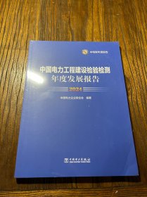 中国电力工程建设检验检测 年度发展报告 2024