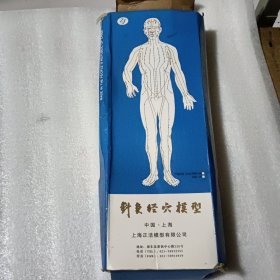 针灸经穴模型【男 高约50cm】