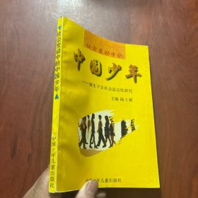 社会变动中的中国少年:独生子女社会适应性研究
