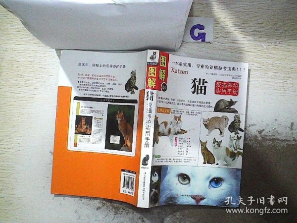 猫：爱猫养护实用手册