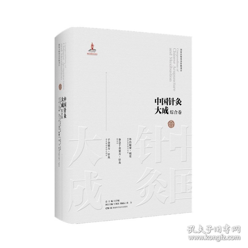 中国针灸大成·综合卷（外台秘要?明堂 备急千金要方·针灸 千金翼方·针灸）
