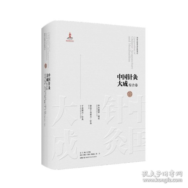 中国针灸大成·综合卷（外台秘要?明堂 备急千金要方·针灸 千金翼方·针灸）