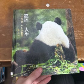 猫语人生