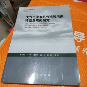 大气污染控制技术与策略丛书：大气二次有机气溶胶污染特征及模拟研究