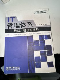 IT管理体系：战略、管理和服务