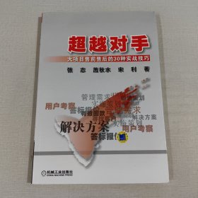 超越对手：大项目售前售后的30种实战技巧