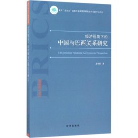 经济视角下的中国与巴西关系研究