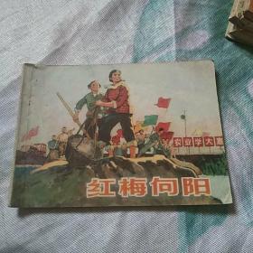 红梅向阳