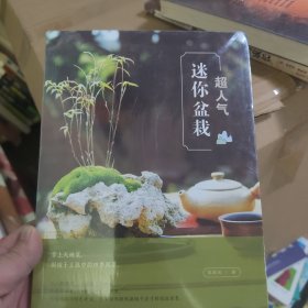 超人气迷你盆栽
