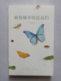 被你嫌弃的昆虫们 私藏品佳品如图