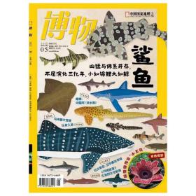 博物杂志2022年5月期 鲨鱼青少年科普期刊