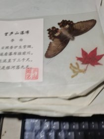 蝴蝶枫叶标本【附李白诗】
