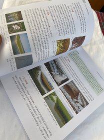 图说“一稻三虾”高效绿种养 养殖 张家宏