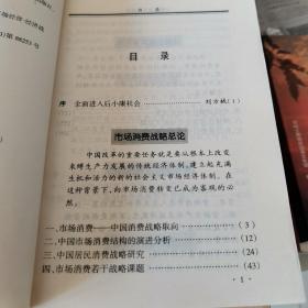 中国市场消费战略