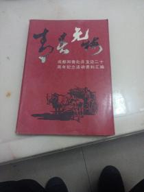 青春无悔:成都知青赴滇支边二十周年纪念活动资料汇编